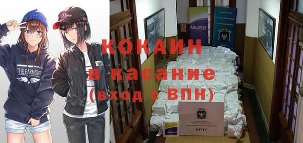 индика Бронницы