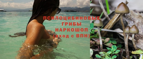 а пвп мука Верхний Тагил